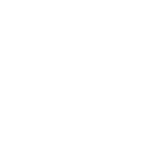 1st Choice Wedding Cars Belfast drivers cap icon